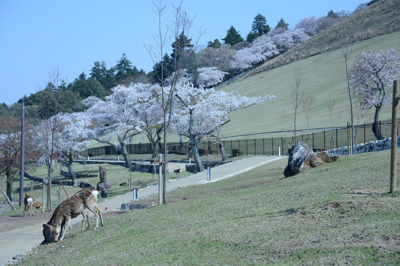 Mountain Home Lodge In Deer Park Nara Exterior photo